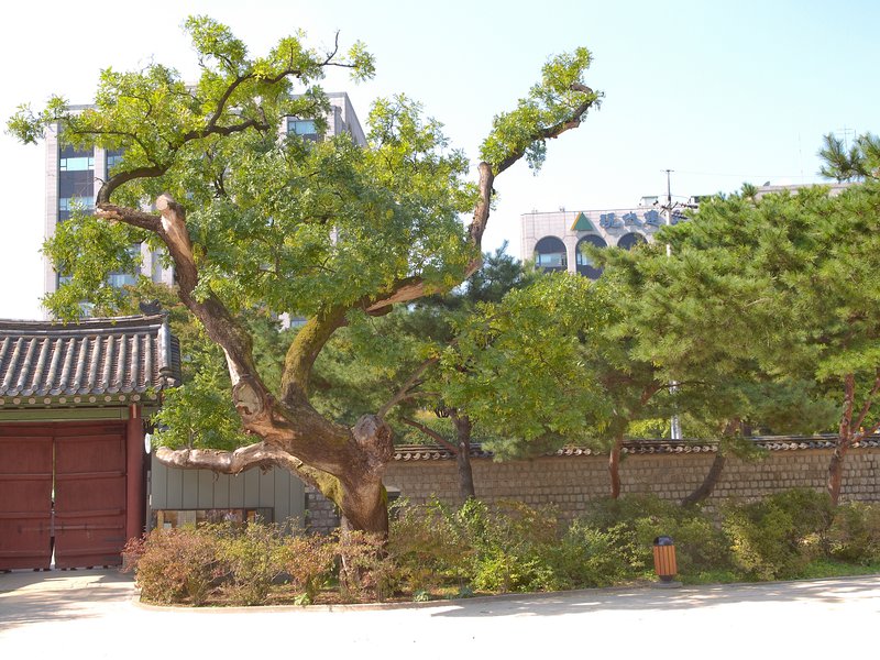 Seoul, Changdeokgung